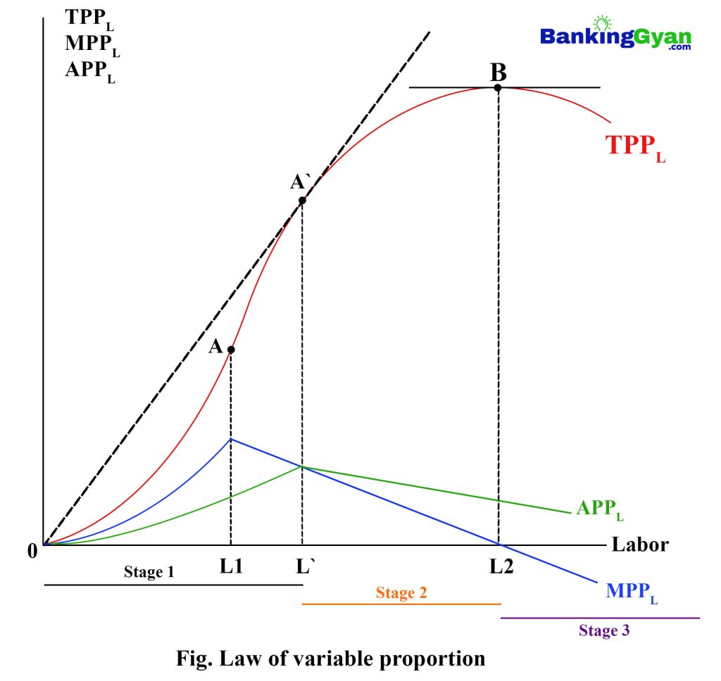 Law of variable proportion