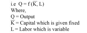 short run production function