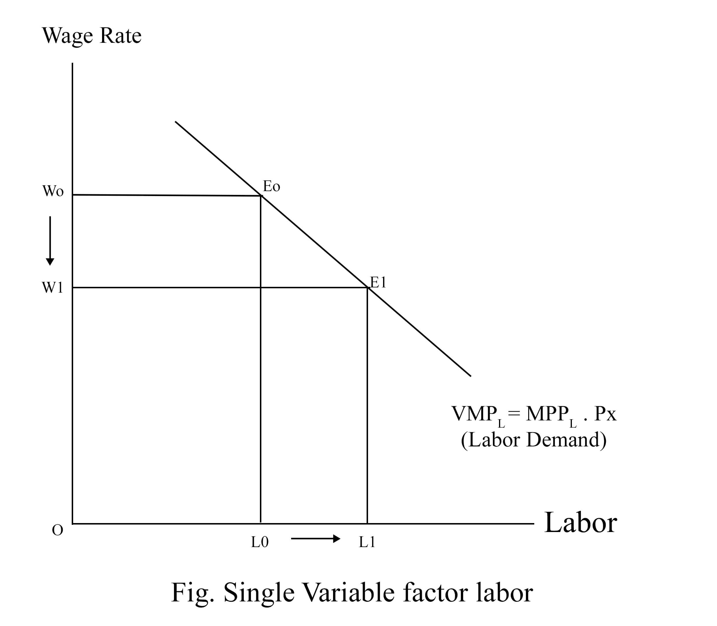 Single Variable Factor Labor