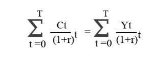life cycle income hypotheses