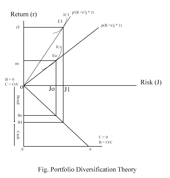 Tobin Portfolio diversification theory