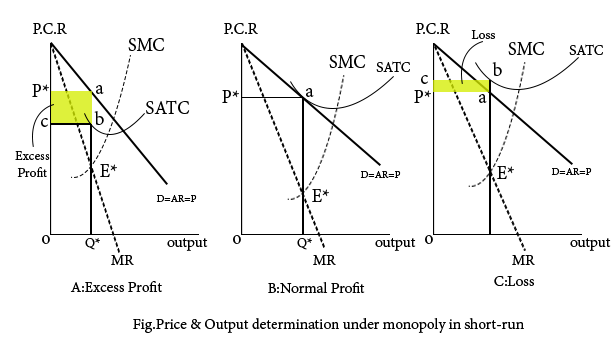 Price and output determination under monopoly copy