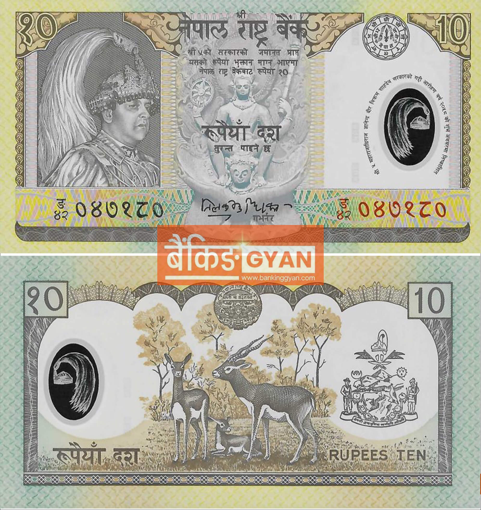 Nepali Polymer Note of Rs. 10